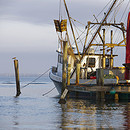 Shrimp Boat