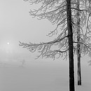 Yellowstone Sunrise